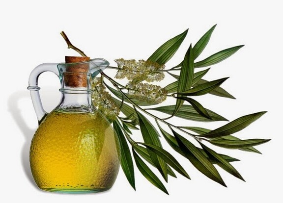 Remove Dandruff with tea tree oil