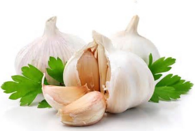 Garlic