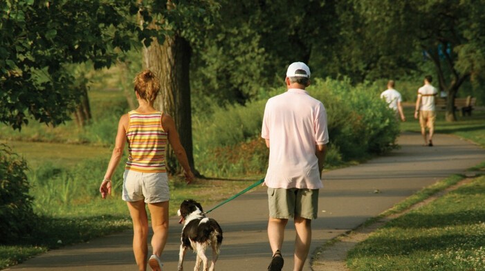 walk after dinner