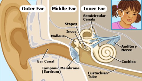 Ears Pop When Swallow 61