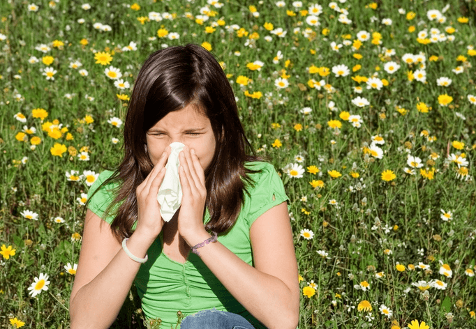 Get Rid of Timothy Grass Allergy