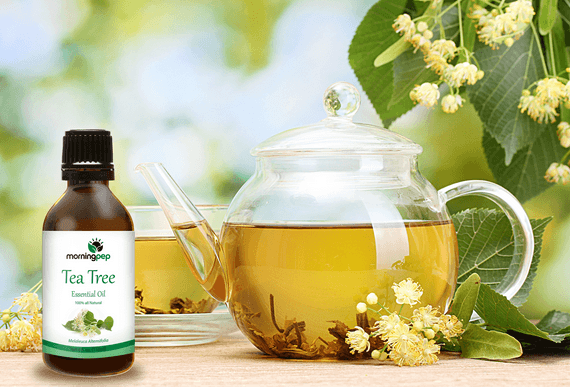 Art Natural Tea Tree Essential Oil