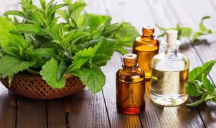 Essential Oils for Weight Loss