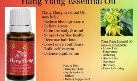 Benefits of Ylang Ylang Essential Oil