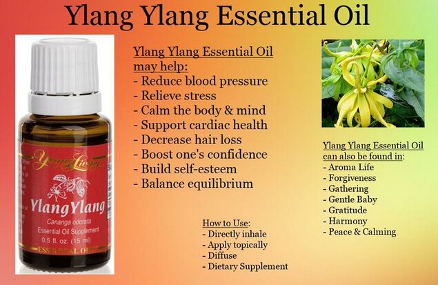 Benefits of Ylang Ylang Essential Oil