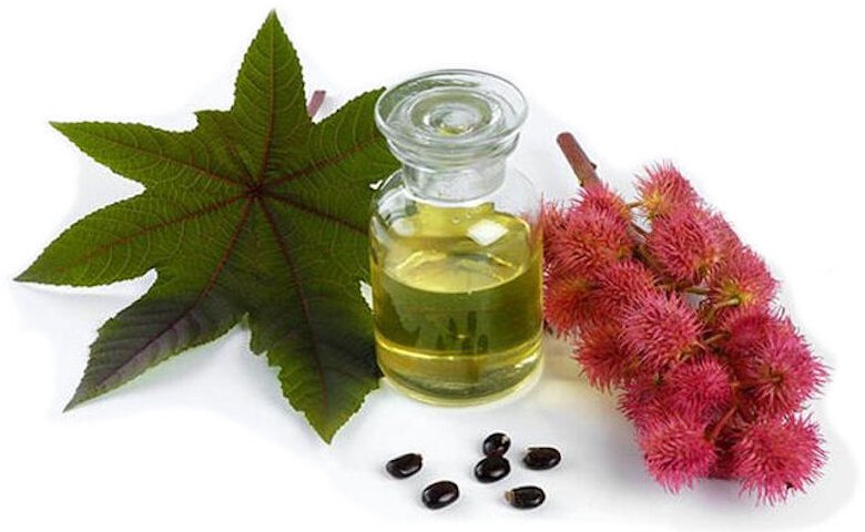 Health Benefits of Castor Oil