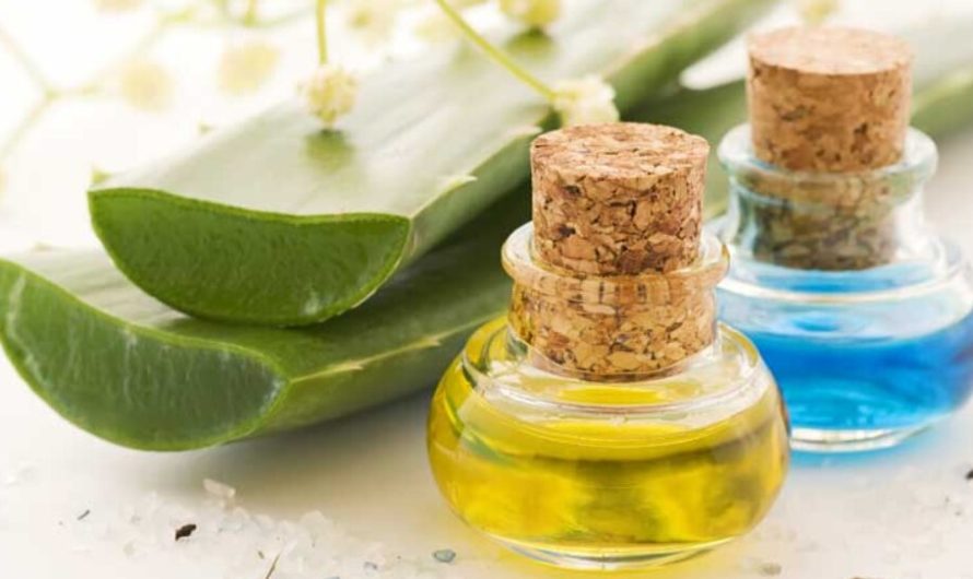 7 Amazing Health Benefits of Aloe Vera Gel