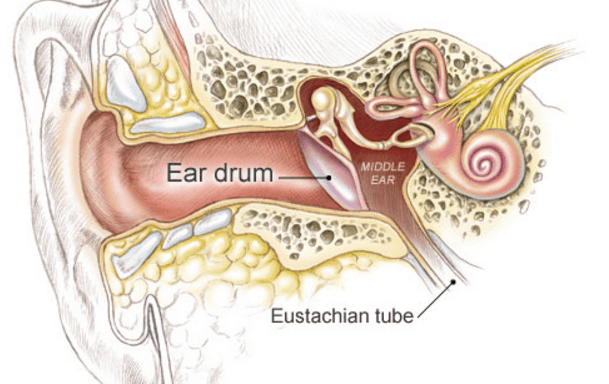 How to Unclog Your Ears Fast