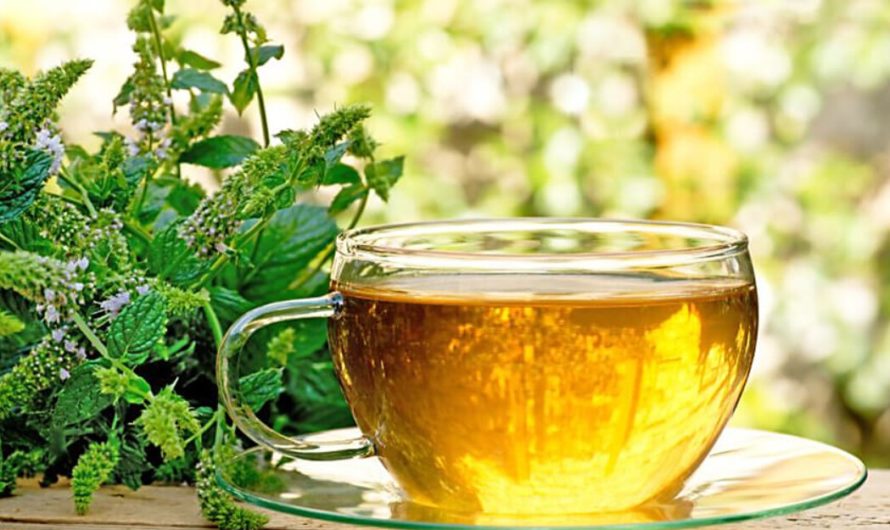 14 Amazing Health Benefits of Peppermint Tea