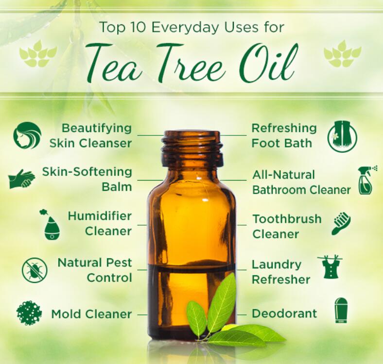 Uses of Tea Tree Oil