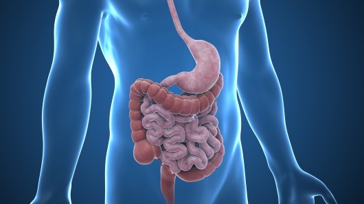 Gastrointestinal