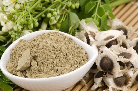 Health Benefits of Moringa Seeds