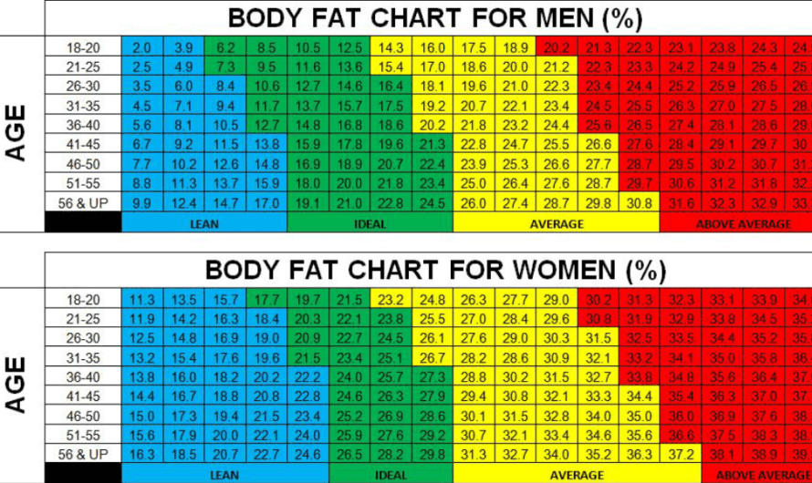 Body Fat Percentage Chart for Men and Women