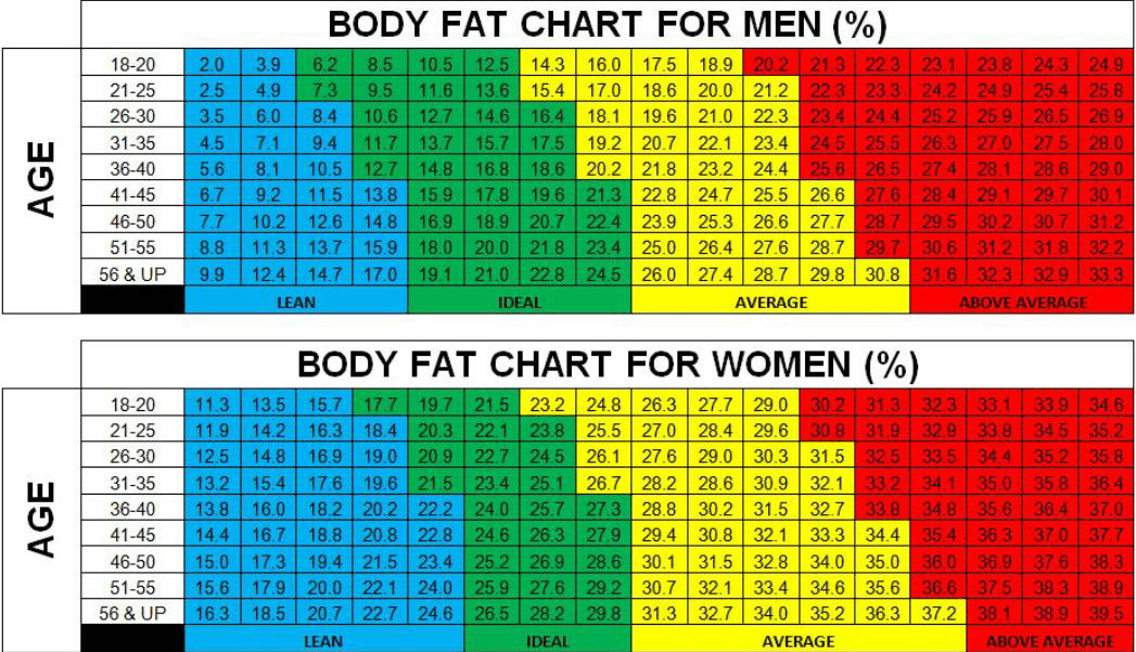 body fat percentages on men