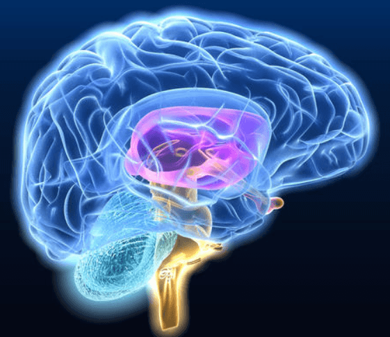 Eye pain due to brain infection