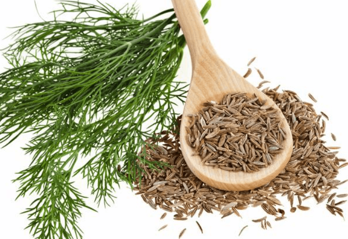 12 Amazing Health Benefits of Cumin Seeds