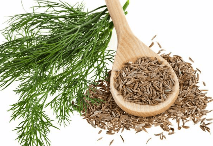 Health Benefits of Cumin Seeds