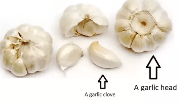 Clove of Garlic vs. Head of Garlic