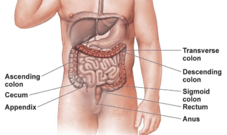 Where is Your Appendix and Early Signs of Appendicitis