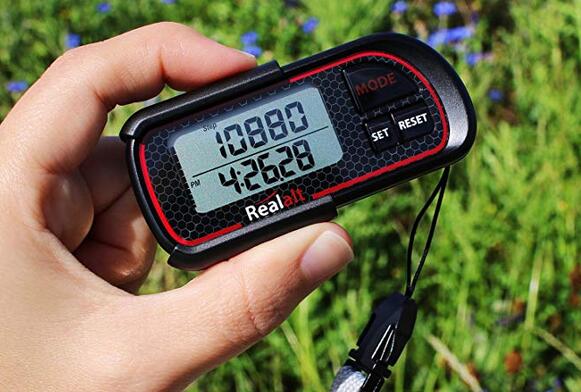 Realalt 3D PDR-200 Pedometer with Clip and Strap
