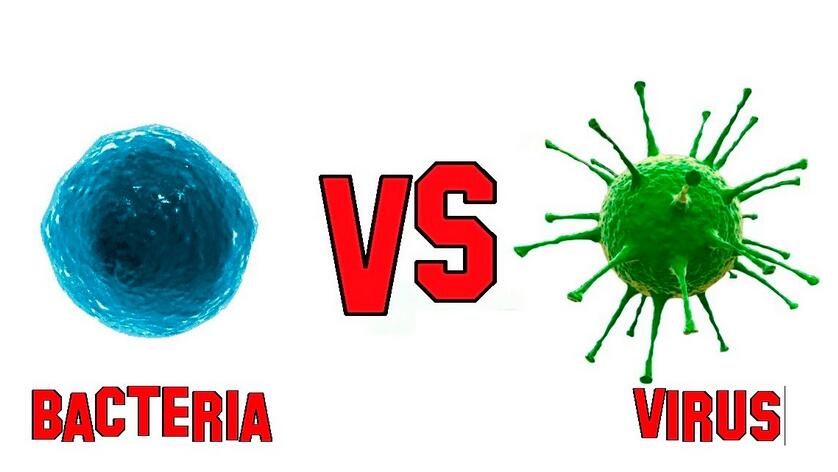 Bacterial Vs Viral Infections Difference Between A Virus And Bacteria