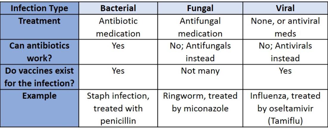 Identifying Between Bacteria and Viruses
