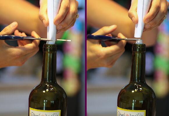 Wine or Beer Bottle for Fruit Flies