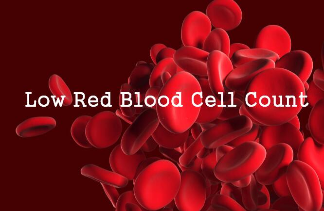 Low Red Blood Cell Count(Anemia)-What Does it Mean?