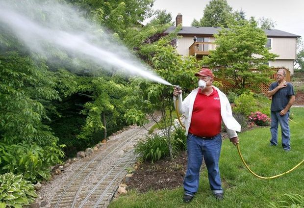 Spraying your Yard