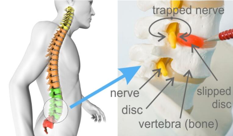 nerve endings in hands