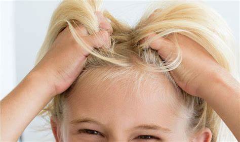 How to Get Rid of Head Lice