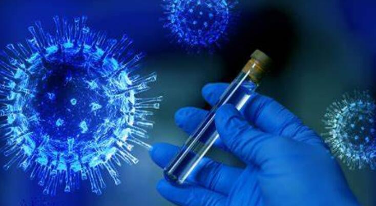 Globulin Test: Normal, High and Low Levels