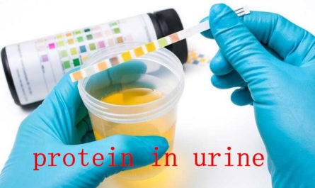 protein in urine