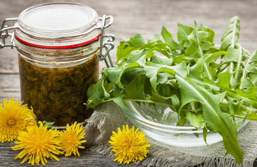 dandelion recipes