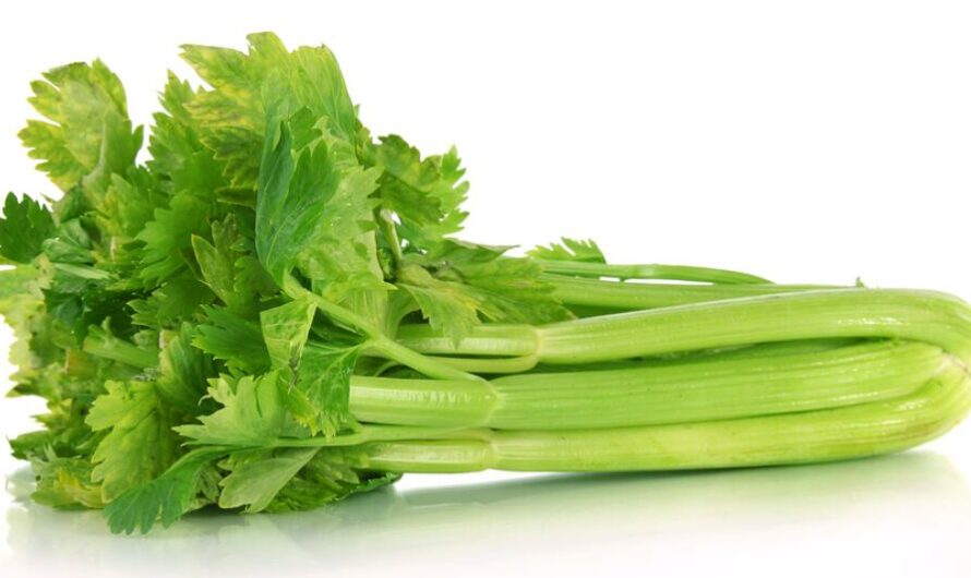 14 Amazing Health Benefits of Celery