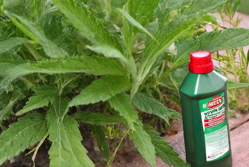 Vinegar Weed Killer