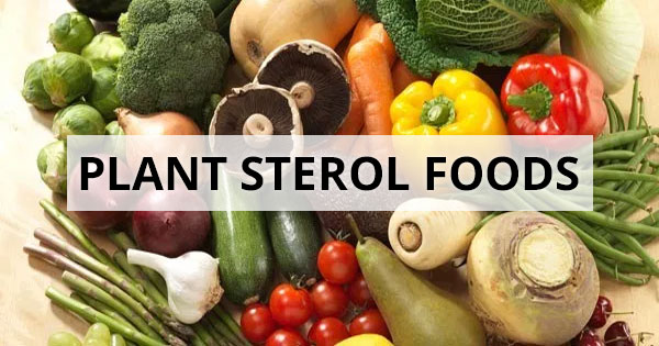 Incorporate Plant Sterols and Stanols