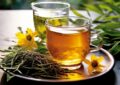 Best Herbal Teas List