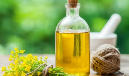 Is Canola Oil Good or Bad for You