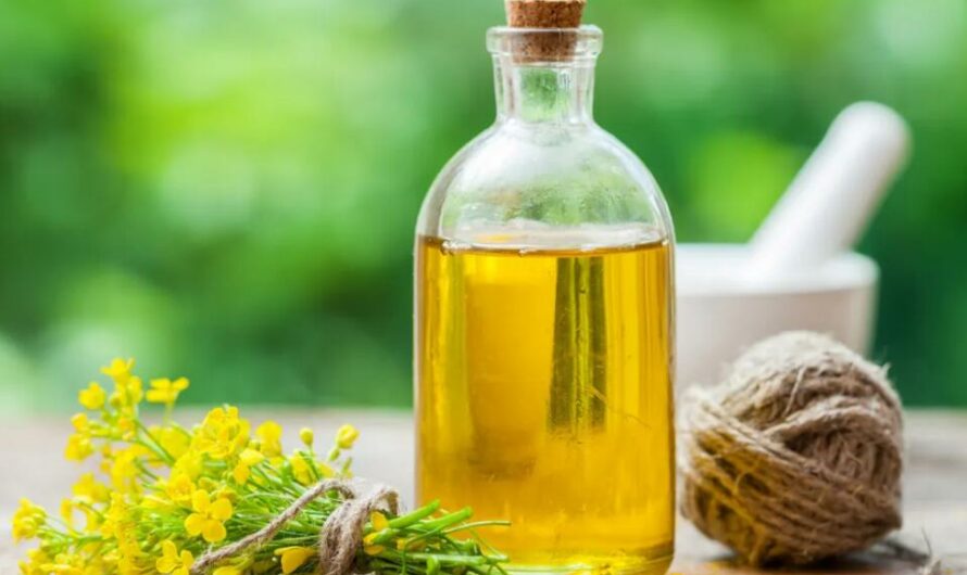 Is Canola Oil Good or Bad for You?