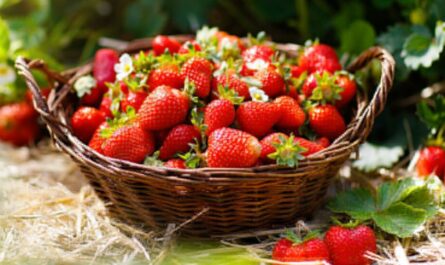 Strawberries Have Vitamin C