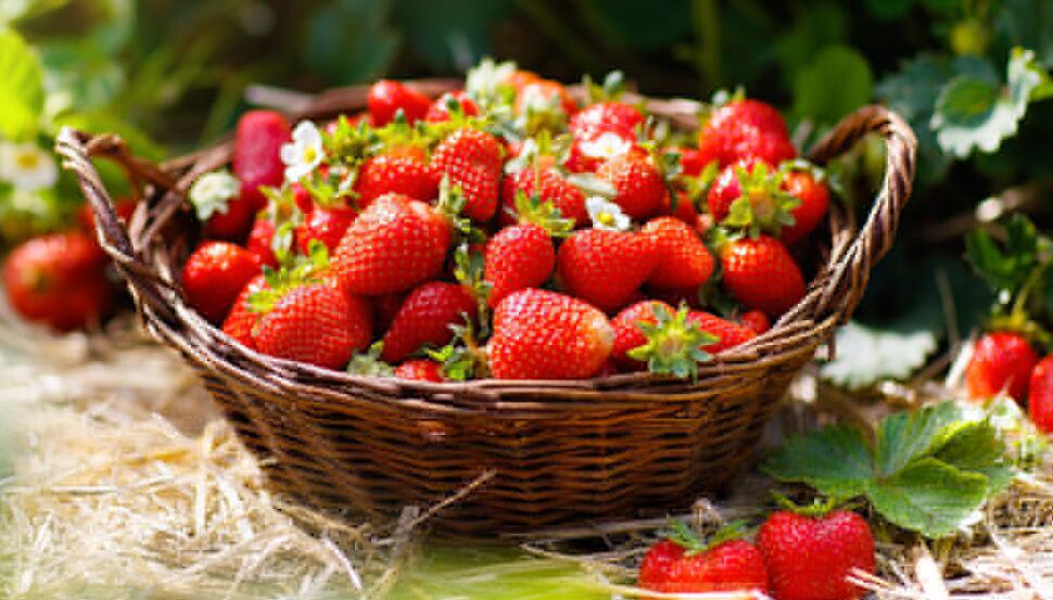 Strawberries Have Vitamin C
