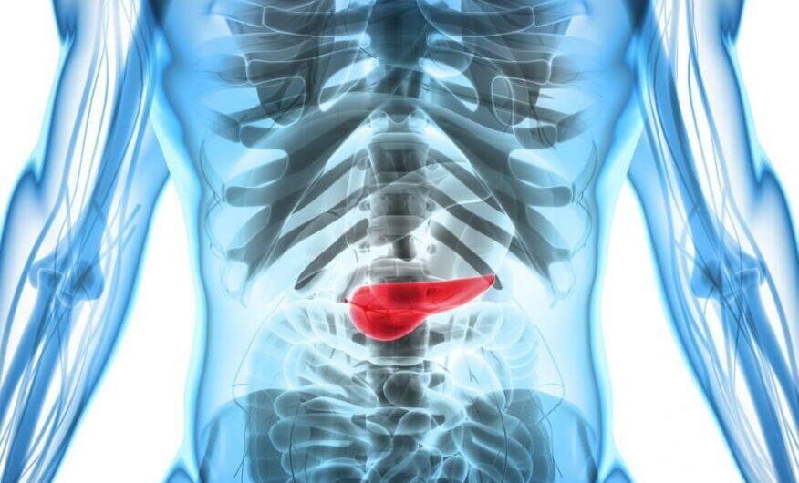 Pancreas Location: Where is the Pancreas Located?
