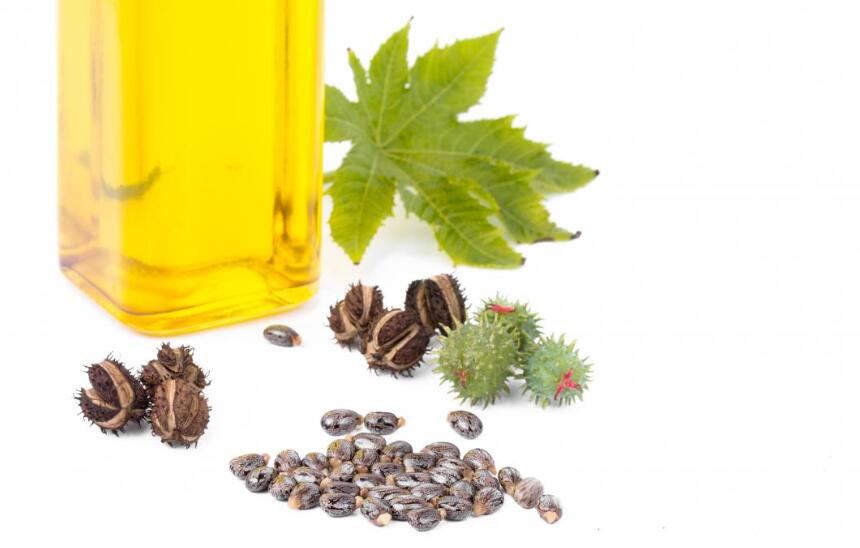 Castor Oil for Constipation Relief