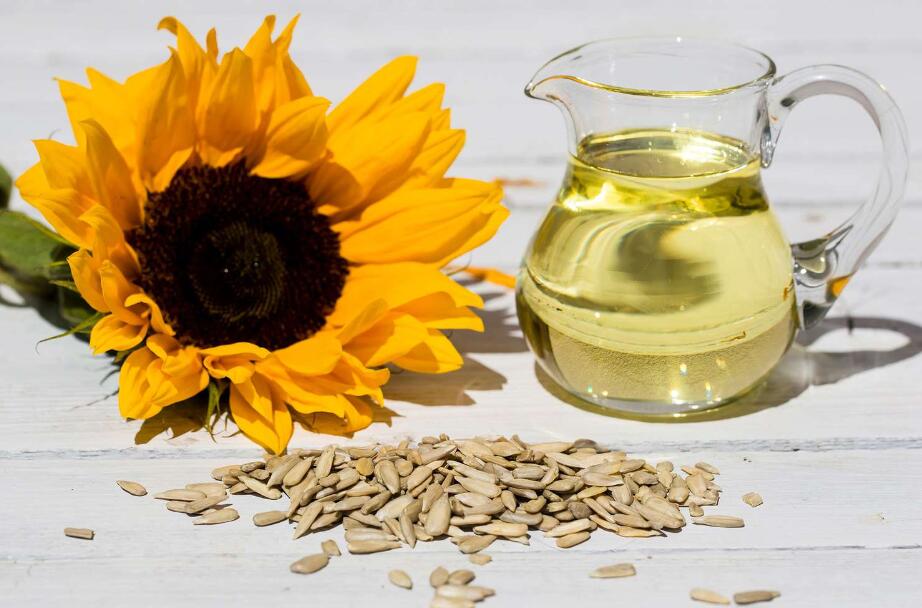 Is Sunflower Oil Good or Bad for You