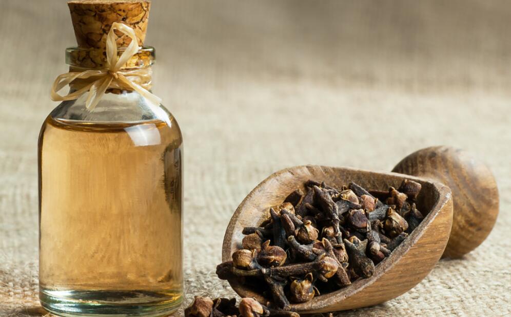 clove oil for toothache