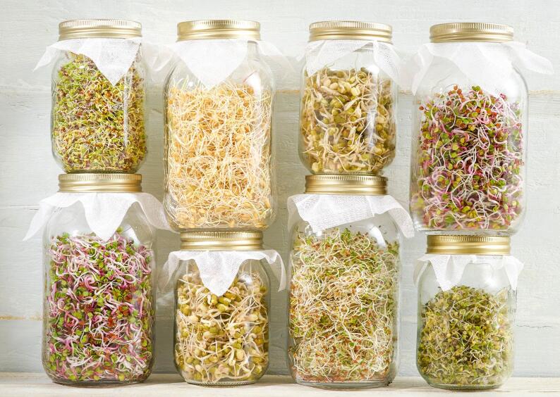 How to Grow Your Own Sprouts at Home