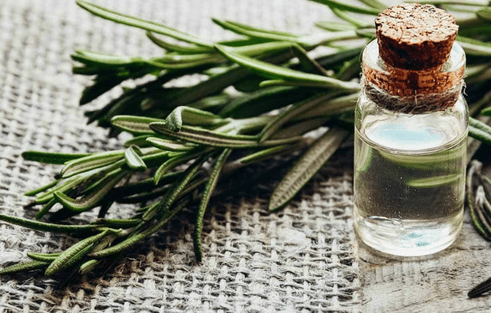 How to Use Rosemary Oil