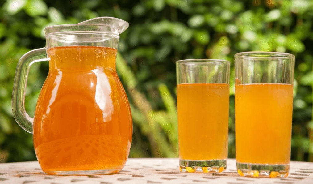 Kombucha Tea