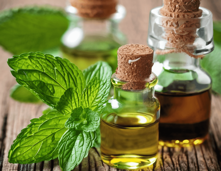 Benefits of Peppermint Oil